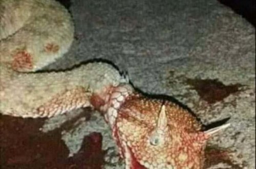 Ağsu aşırımında dəhşətli anlar - 