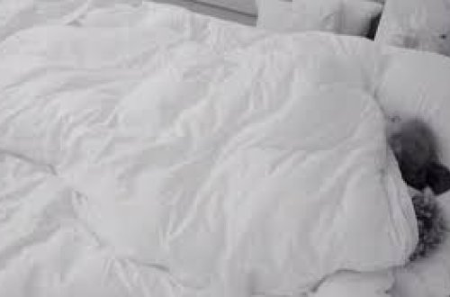 İngiltərədə biabırçılıq — Müsabiqə iştirakçıları canlı yayımda cinsi əlaqəyə girdilər (VİDEO)