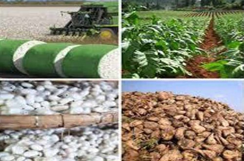 2020-ci ildən subsidiyalar bu qayda ilə veriləcək