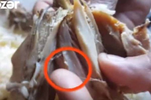 Azərbaycanda restoranda yeməkdən qurd çıxdı (VİDEO)