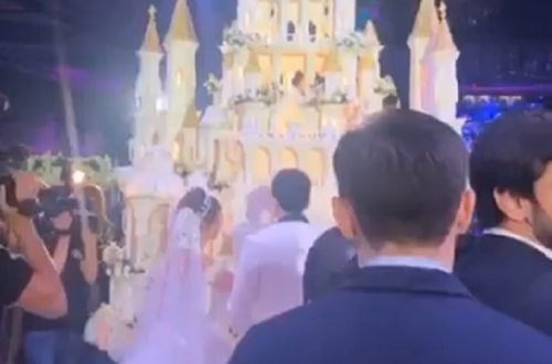 Fazil Məmmədovun qardaşı qızının toyundan görüntülər - VİDEO