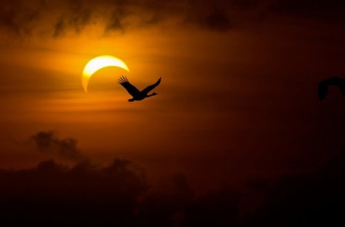 Завтра будет наблюдаться полное солнечное затмение