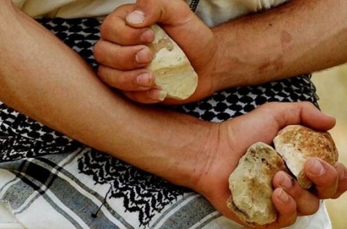 Azərbaycanda DƏHŞƏT:Azyaşlı qız uşağını daşla öldürdülər