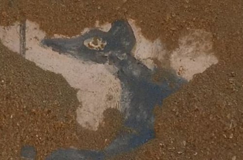 Misirdə qəribə mumiyalar tapıldı - FOTO