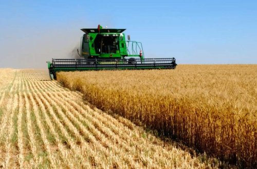 В Азербайджане продолжает расти производство сельскохозяйственной продукции