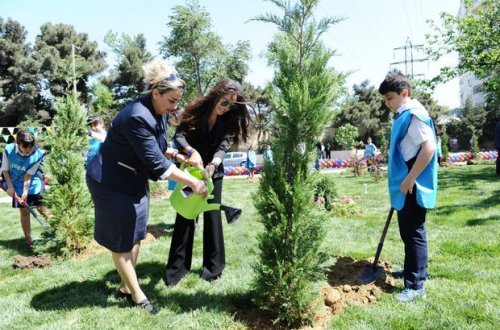 Bakıda daha bir həyət abadlaşdırıldı: Leyla Əliyevanın təşəbbüsüdür - FOTO