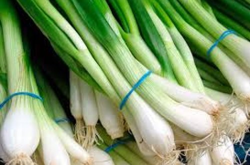 Yaşıl soğanın dişlərə faydası — Ağrını kəsir
