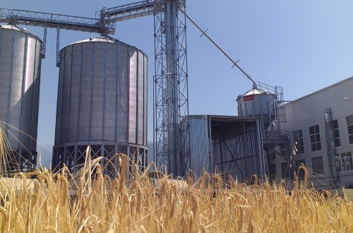 Şəkidə Toxum Emalı Zavodu fəaliyyətə başlayıb