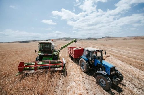 SAHƏLƏRDƏN 2 MİLYON 884 MİN 866 TON TAXIL YIĞILIB