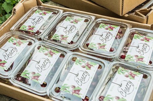 AZƏRBAYCAN GİLASI NİGERİYADA