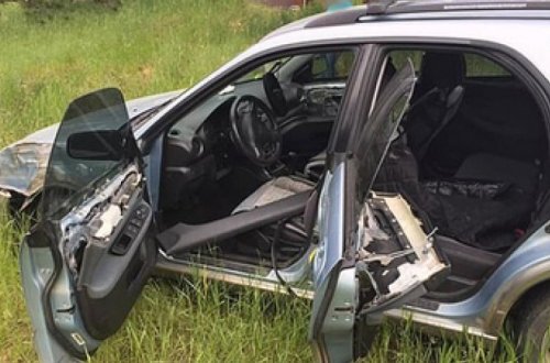 Медведь сел в машину и разбился