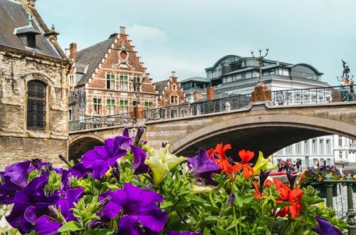 Azərbaycanlılar Belçikadan deportasiya olundu