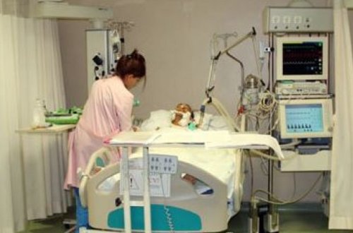 В Баку сильный ветер повалил деревья на женщину и три автомобиля – ФОТО