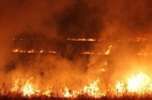 Армяне учинили пожар в Агдаме