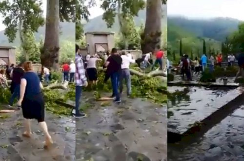 Şəkidə ağacın insanların üzərinə aşma anı – Video