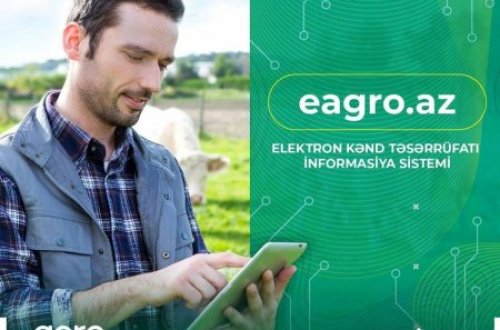 Elektron Kənd Təsərrüfatı İnformasiya Sistemində hüquqi şəxslərin qeydiyyatı başlayıb