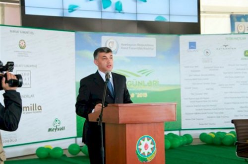 Pullar vergidən necə yayındırılır? – Məşhur brokerin qurduğu sistem