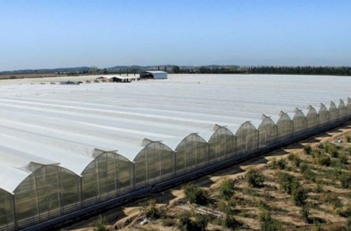İcra başçısının parnikinin 70 min qaz pulu borcu var