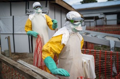 Лихорадка Эбола достигла статуса международного масштаба