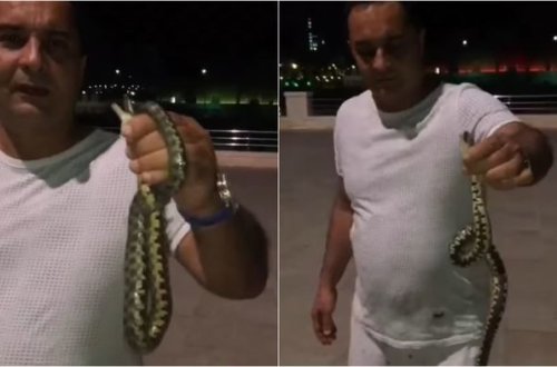 По Бакинскому бульвару ползают змеи - ВИДЕО