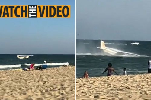Вышедший из строя самолет напугал посетителей пляжа - ВИДЕО
