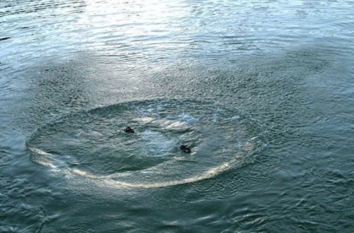 Найдено тело парня, утонувшего в Гусарах