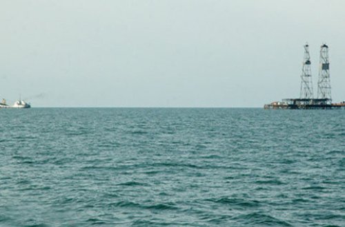 Xəzər dənizində qəribə canlı peyda oldu - İnsanlar vahiməyə düşdü (VİDEO)