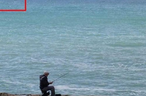 На пляже в Новханы людей ужаснуло огромное странное существо - ВИДЕО