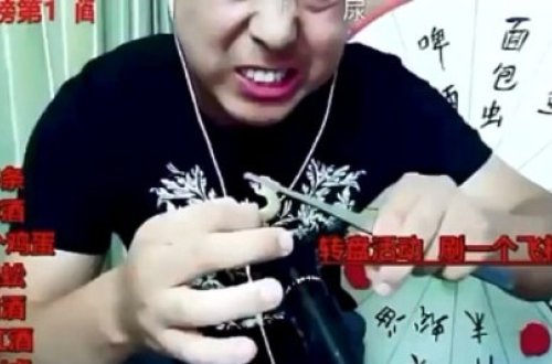 Canlı yayımda bu həşaratları yedi və öldü