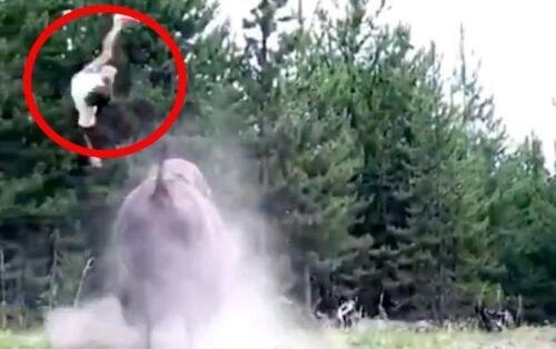 Bizon 9 yaşlı uşağı havaya uçurdu - dəhşətli anların VİDEOSU