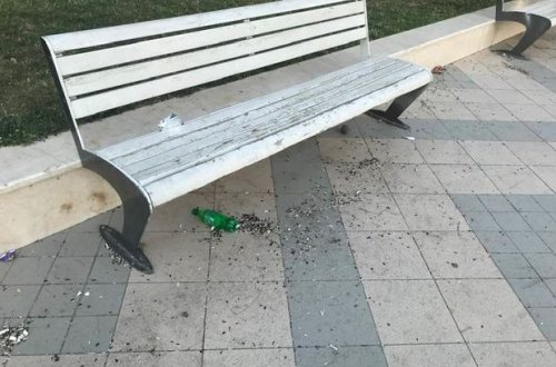 Daha bir park biabırçılığı: təhlükə su ilə bədənimizə keçir, 20-30 il yaşayır - FOTO