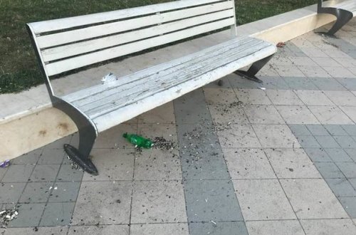 Неприглядная картина в парках Азербайджана: экологи бьют тревогу - ФОТО