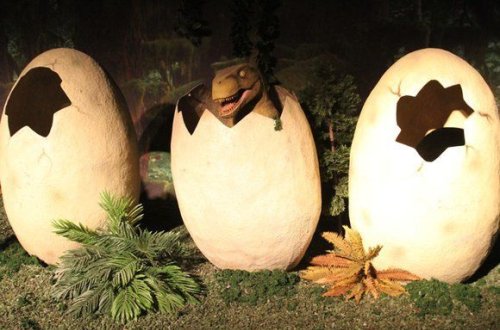 Мальчик нашел яйца динозавра в Китае