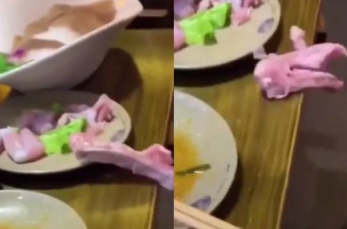 Toyuq filesi hərəkət edib, boşqabdan çıxdı - Rekord qıran VİDEO