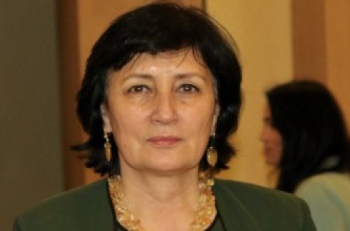 Məlahət İbrahimqızı: Türkiyə vətəndaşları üçün vizanın ləğv edilməsi tarixi qərardır