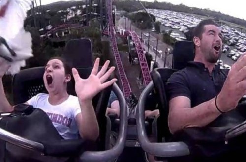 Птица врезалась в катавшуюся на американских горках девочку – ВИДЕО