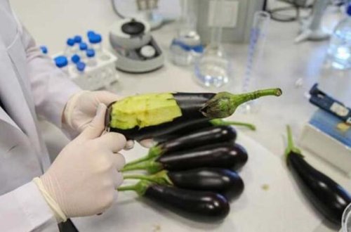 Dəri xəstəliklərini müalicə edən İNANILMAZ YENİLİK