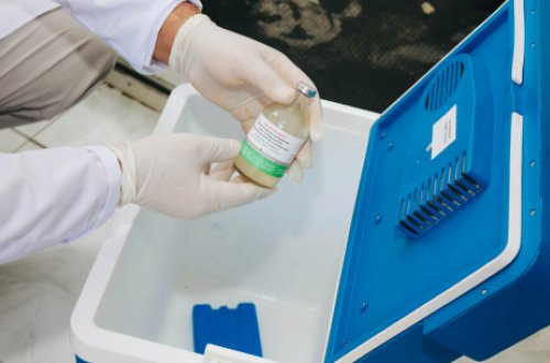 Aqrar Xidmlər Agentliyi yaylaqlarda səyyar baytar xidməti göstərir