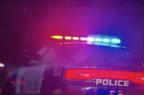 İti öldürməyə çalışan polis qadını güllələdi - ŞOK