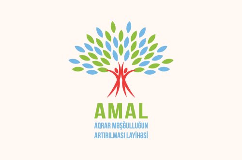 AMAL Akademiyasının YAY Məktəbinə qeydiyyat başlayır