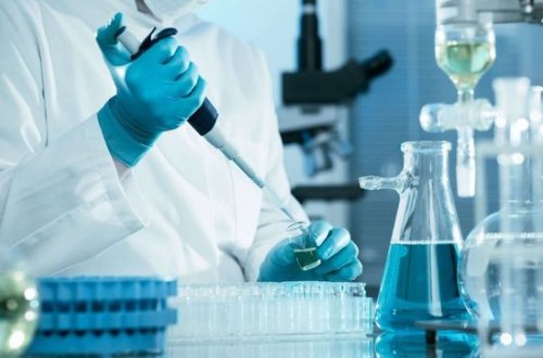 В Японии создадут гибрид человека и животного