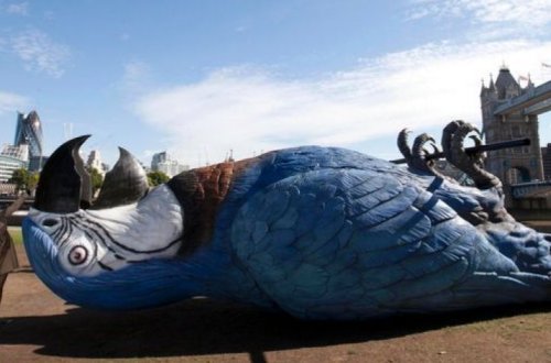 В Новой Зеландии нашли останки крупнейшего в мире попугая