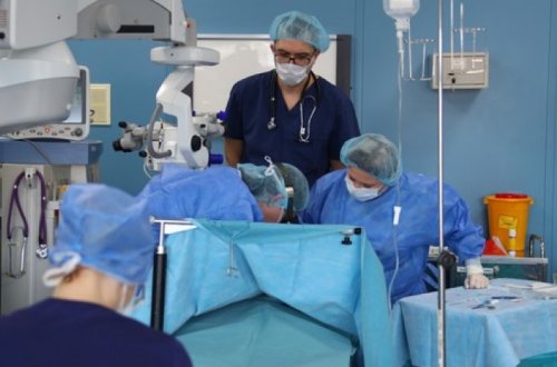 Избитой в Ингушетии девочке ампутировали часть правой руки