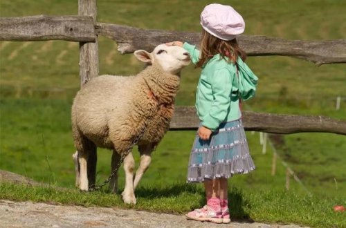 Богослов: Не закалывайте баранов в присутствии детей