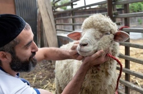 Имам «Тезепир»: Каждому человеку необязательно совершать жертвоприношение