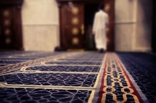 Крокодил съел питбуля