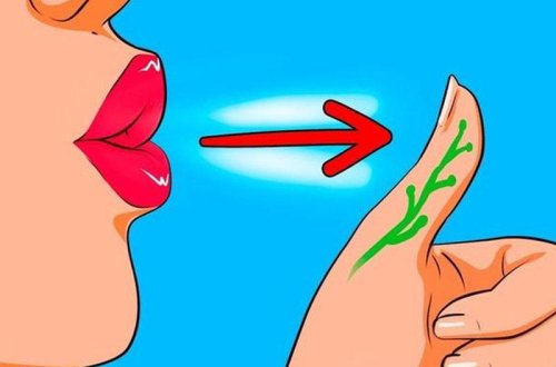 Əsəbi və gərginsinizsə, burnunuz tıxanıbsa, onda... - Qeyri-adi MÜALİCƏ ÜSULLARI