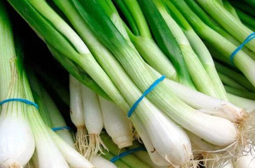 Yaşıl soğanın dişlərə faydası - Ağrını kəsir