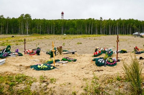 Медведь украл покойника с российского кладбища