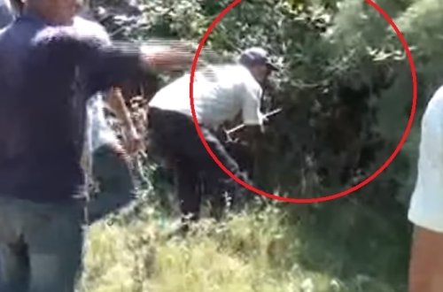 Azərbaycanın bu kəndində əcaib varlıqlar sakinləri təşvişə salıb - VİDEO
